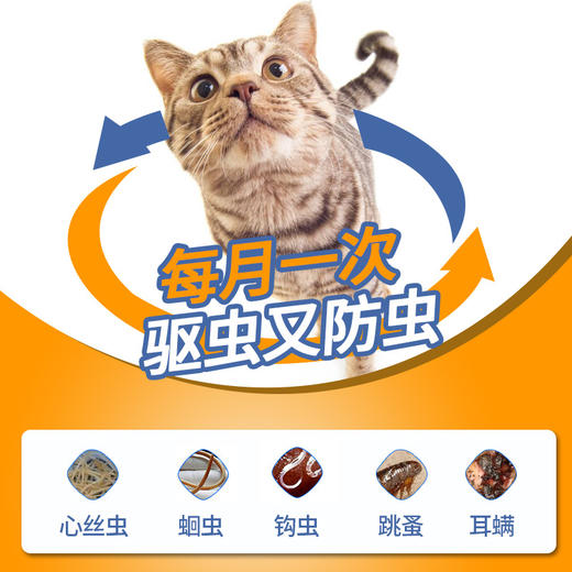 猫用驱虫药大合集（爱沃克/海乐妙/拜宠清/大宠爱/福来恩） 商品图1