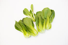 上海青300g｜静物自产