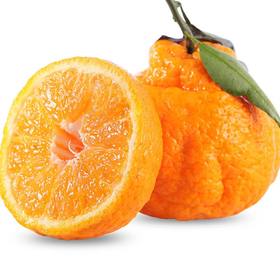 德仁笔记 ｜春见，愿心中每一天都是春天