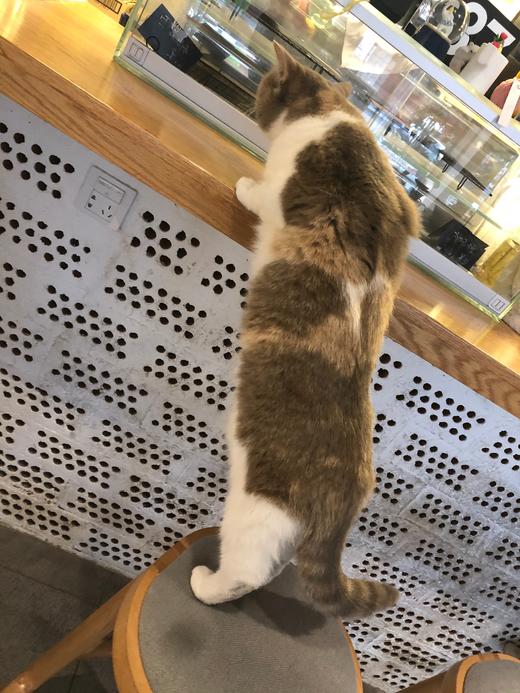 直播测试003 商品图0