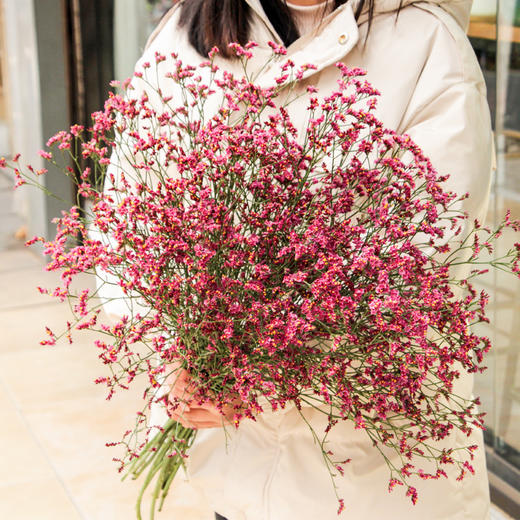 【周四团购】红色水晶草一份/39.9元 2人拼团 商品图1