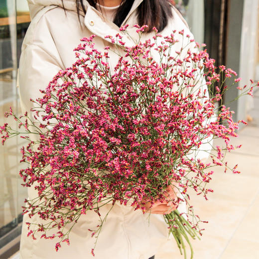 【周四团购】红色水晶草一份/39.9元 2人拼团 商品图0