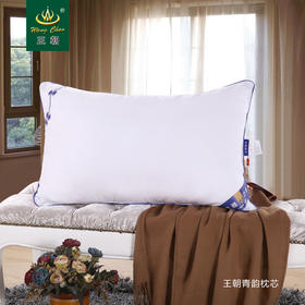 王朝618 疯狂让利