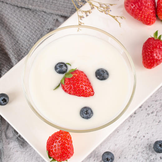 【1桶】奶赞零添加酸奶1.5kg 浓稠型(多口味可选) 商品图7