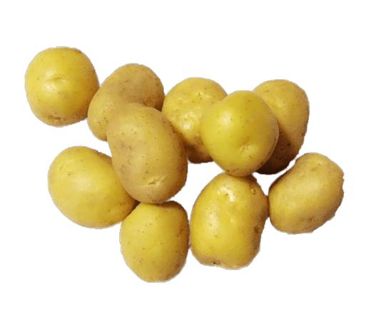 永顺华有机迷你土豆 商品图0