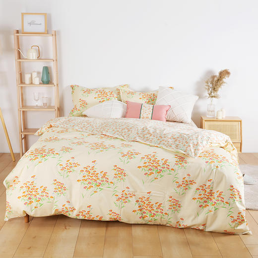 阳春小镇纯棉印花四件套 商品图0