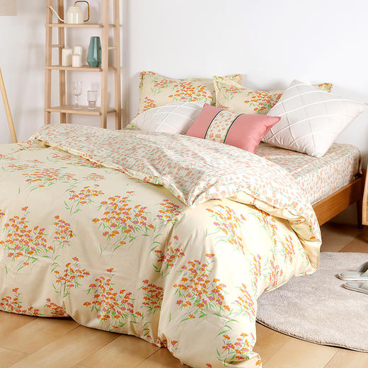 阳春小镇纯棉印花四件套 商品图5