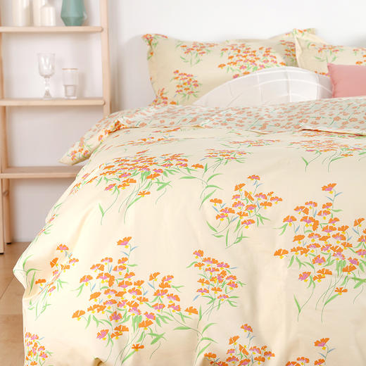 阳春小镇纯棉印花四件套 商品图4