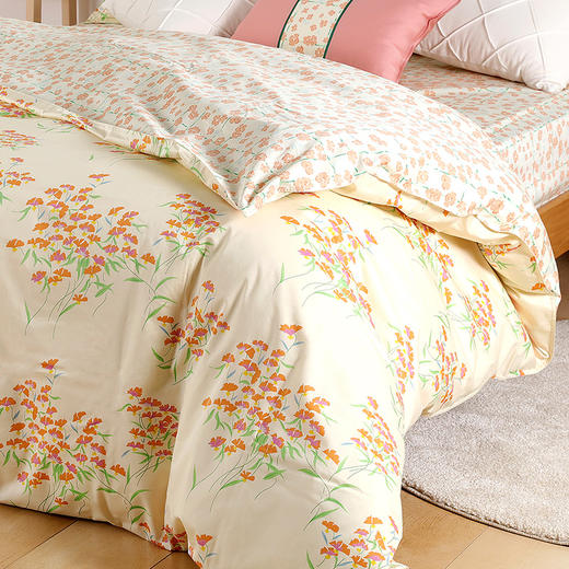 阳春小镇纯棉印花四件套 商品图1