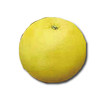 黄金西柚1个约400g 商品缩略图0