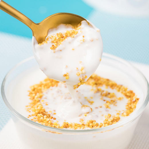 【1桶】奶赞零添加酸奶1.5kg 浓稠型(多口味可选) 商品图5