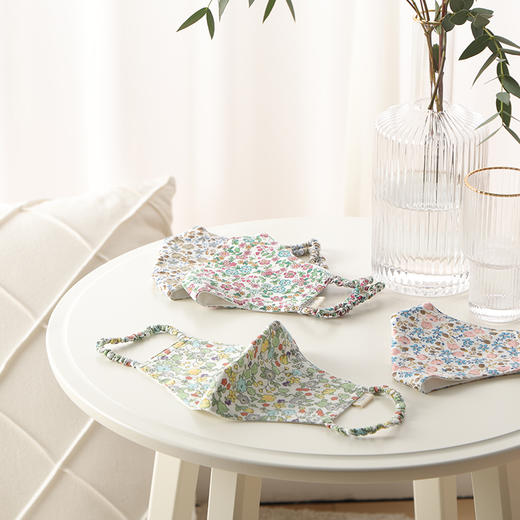 阳春小镇PM2.5防霾口罩 商品图1