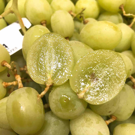 澳洲甜地球青提颗颗晶莹剔透口感嘎嘣儿脆如爆爆珠般好吃到让你欲罢不