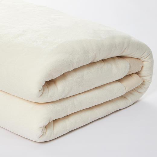 阳春小镇抑菌防螨纯棉花被芯 商品图7