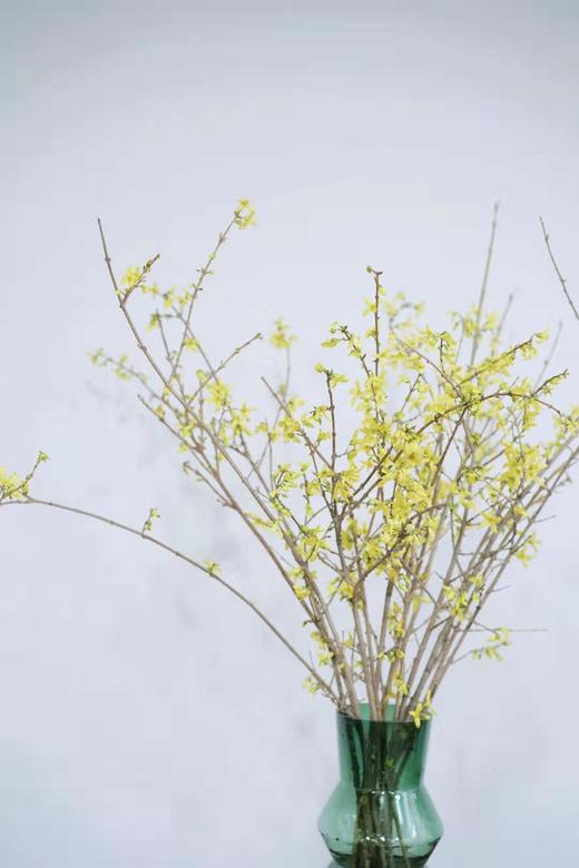 【年霄花特惠推荐】新春寸寸金 (除港澳台新疆西藏外,快递包邮)