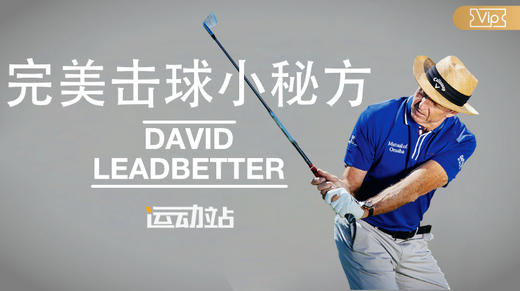 完美击球小秘方-大卫·利百特 商品图0