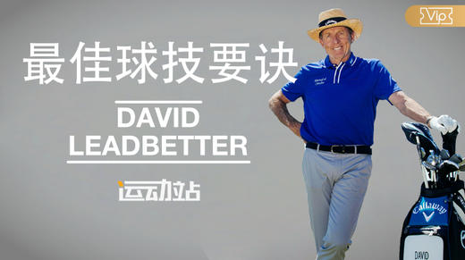 球技要诀系列-大卫·利百特 商品图0