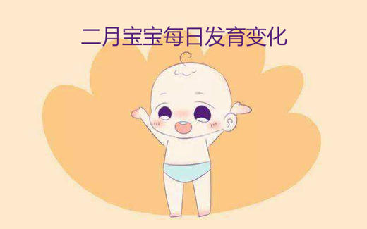 二月宝宝每日生长发育变化 商品图0
