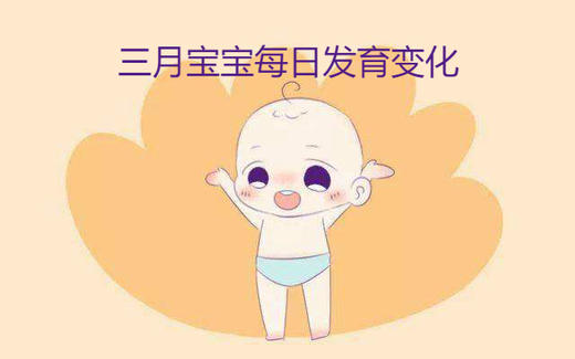 三月宝宝每日生长发育变化 商品图0