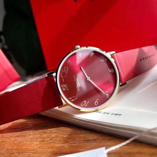 coach蔻驰手表女鼠年生肖限定款手表石英表 女生礼物