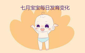 七月宝宝每日生长发育变化