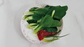 发现规范功夫格斗