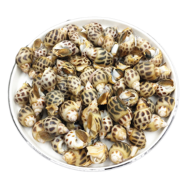 花螺 500g 劲道Q弹 鲜嫩口感