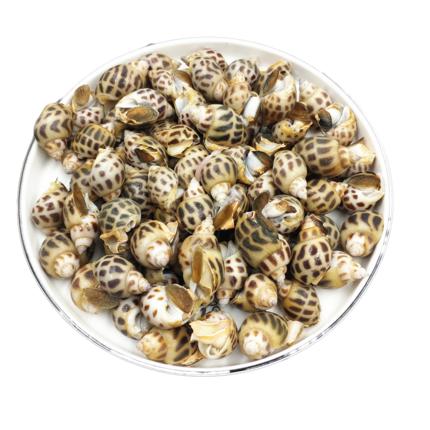 花螺 500g 劲道Q弹 鲜嫩口感 商品图0