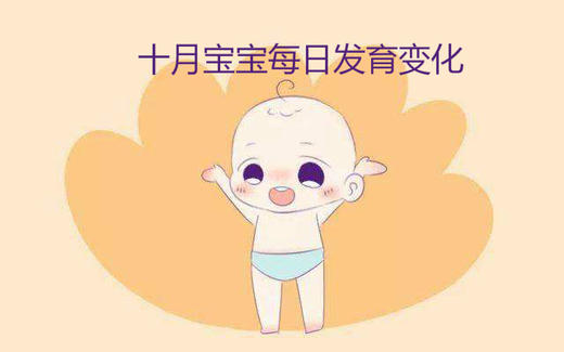十月宝宝每日生长发育变化 商品图0