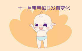 十一月宝宝每日生长发育变化