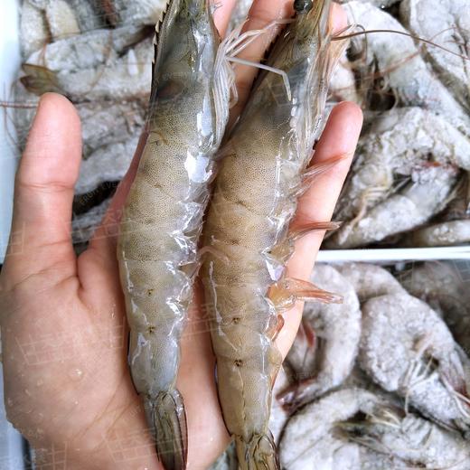 大号（规格30-40）冰鲜虾 白对虾 水产海鲜 商品图3