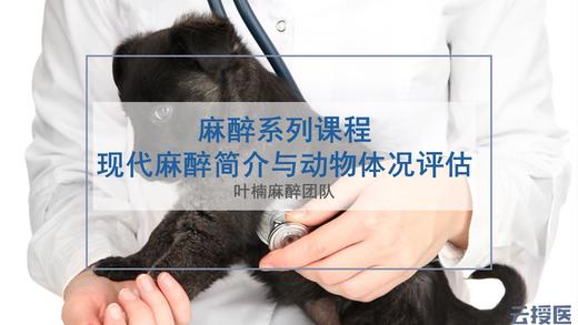 麻醉学1 商品图0