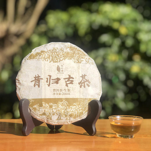 大叶禅 昔归古树生茶19年头春普洱茶饼