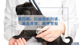 实验室系列课程4