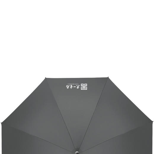 金泉宝墨出品 长柄雨伞 自动大号双人雨伞防风晴雨两用 商品图4