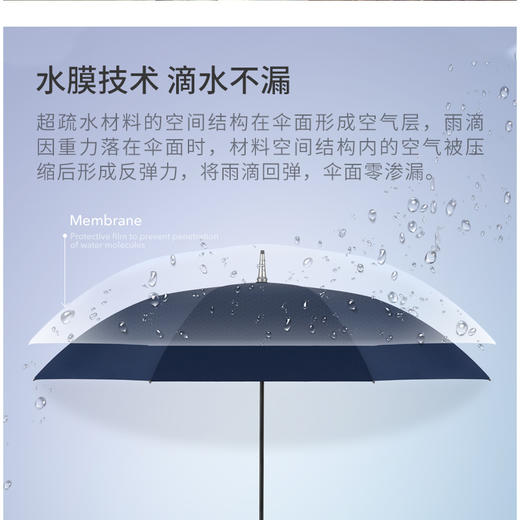 金泉宝墨出品 长柄雨伞 自动大号双人雨伞防风晴雨两用 商品图2