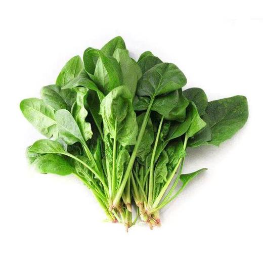 长叶菠菜300g｜静物农场 商品图0
