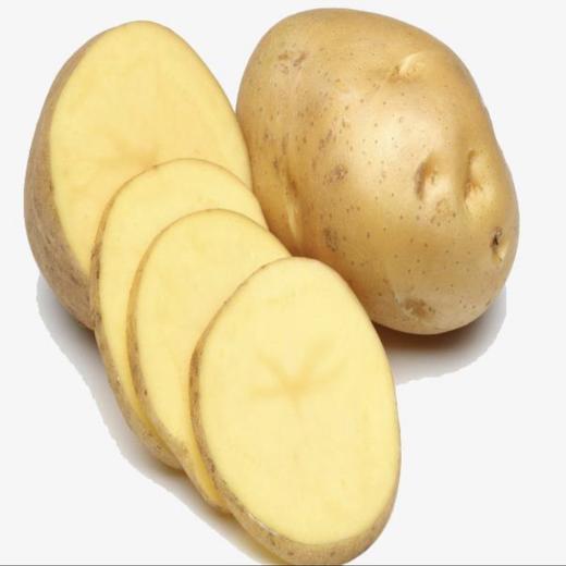 土豆新每公斤 商品图1