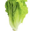 生菜每公斤 商品缩略图0