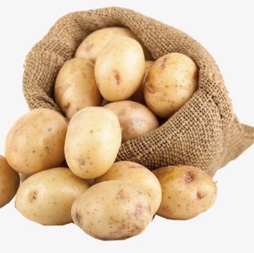 土豆新每公斤 商品图2