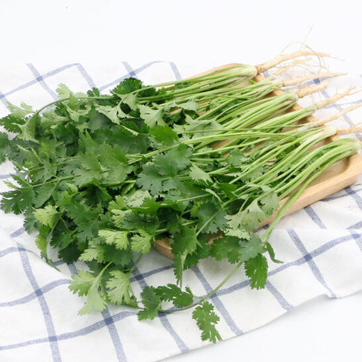 本地叶须(香菜)