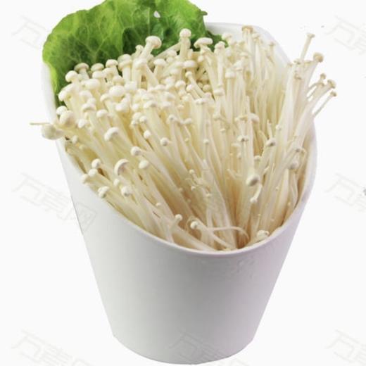 金针菇每公斤 商品图0