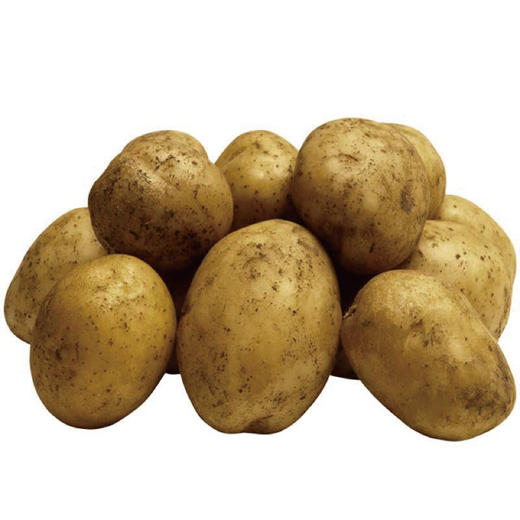 大洋芋 2500g 商品图0