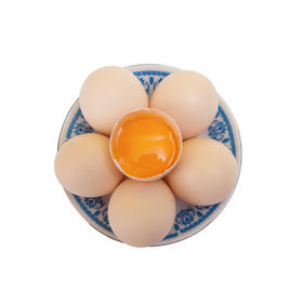 新秀鸡蛋30个