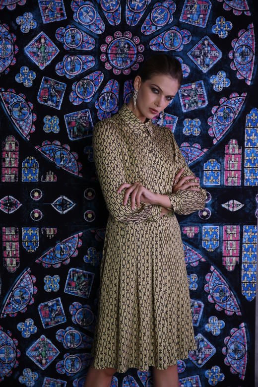 【伯妮斯茵】3S6245--连衣裙--黄金屋顶的爱情--《因汉而生--哥特》 商品图2