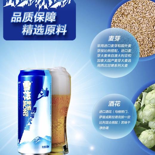 雪花啤酒勇闯天涯500毫升/听6听/包12听/提24听/箱 商品图2