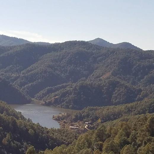 【云南走地铁脚鸡】顺丰到家  48小时之内发货 云海肴汽锅鸡同款 整只净重约4-4.5斤 商品图3