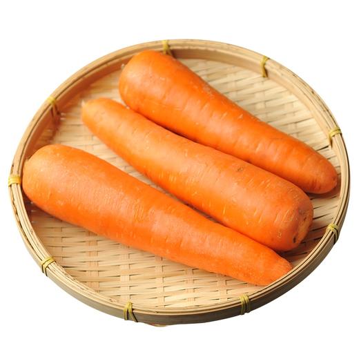 胡萝卜4斤 商品图0