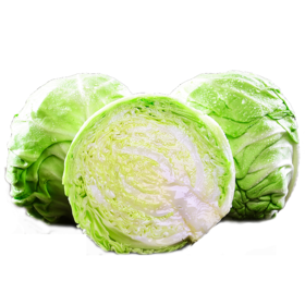 小莲花白  棵/约5斤