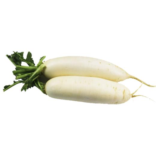 新鲜白萝卜 2500g 商品图0